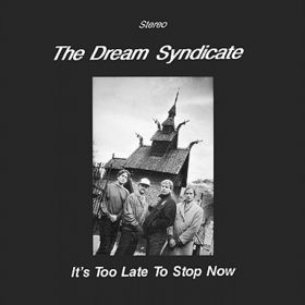 If You Should Ever Need A Fool (Album Version)   The Dream Syndicate